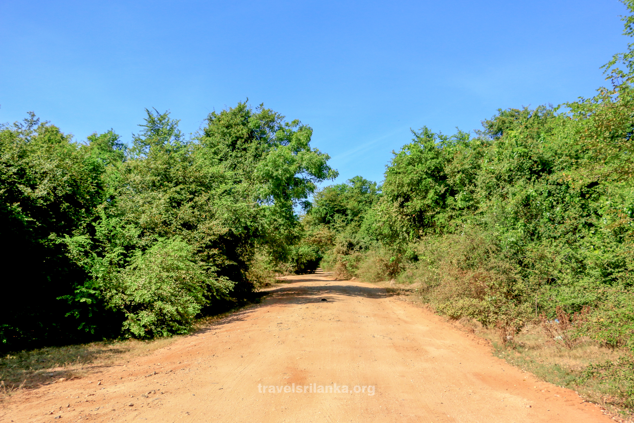 Yakkure road - photographed by Dr Niroshan Edirisinghe 