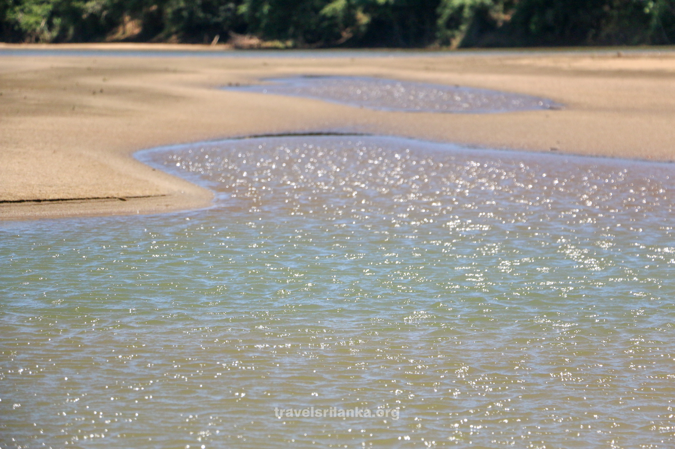 Mahaveli Lake - photographed by Dr Niroshan Edirisinghe 