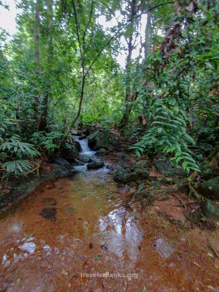 Kukulagala Reserve