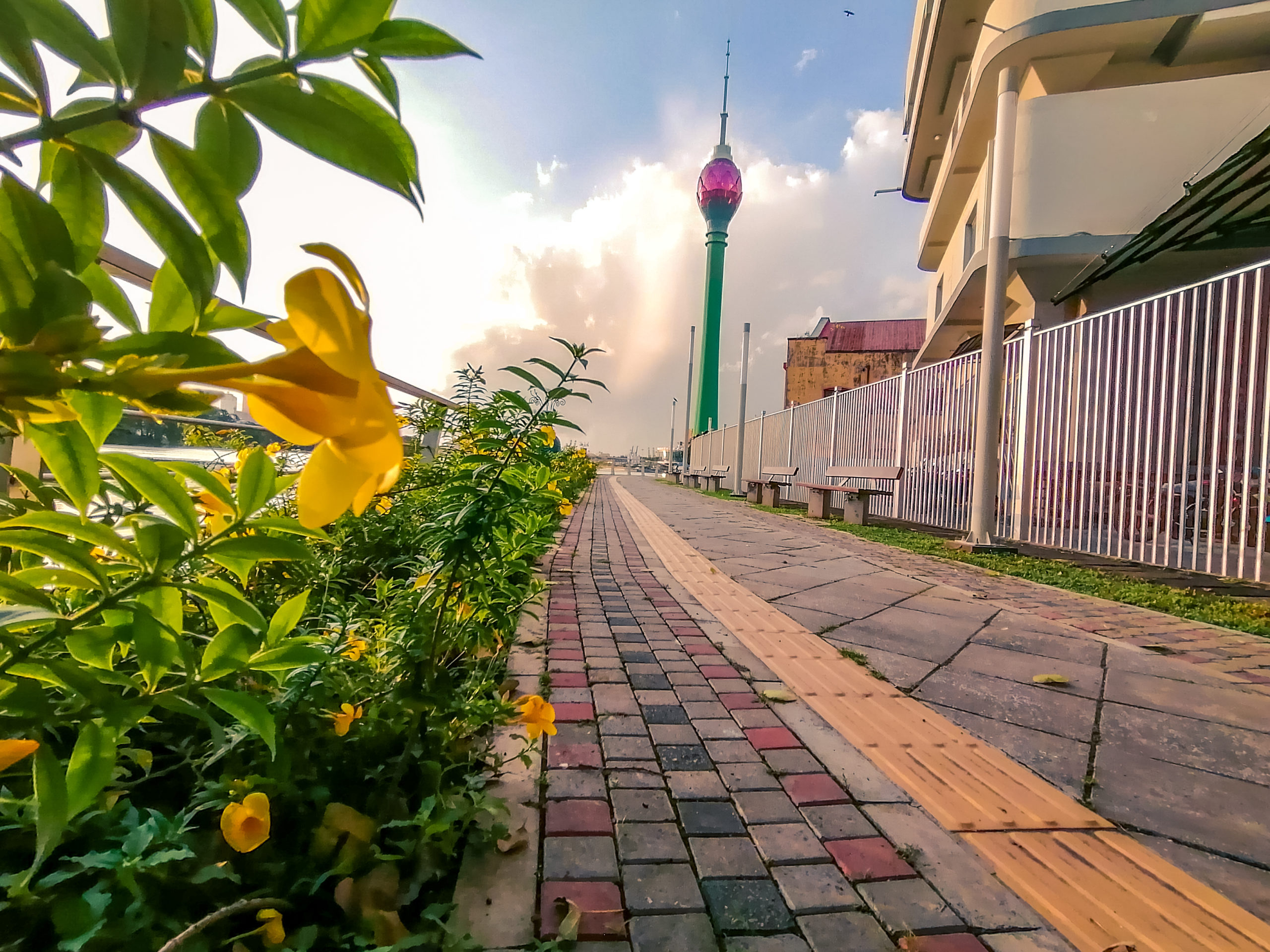 Linear Park - Beira Lake