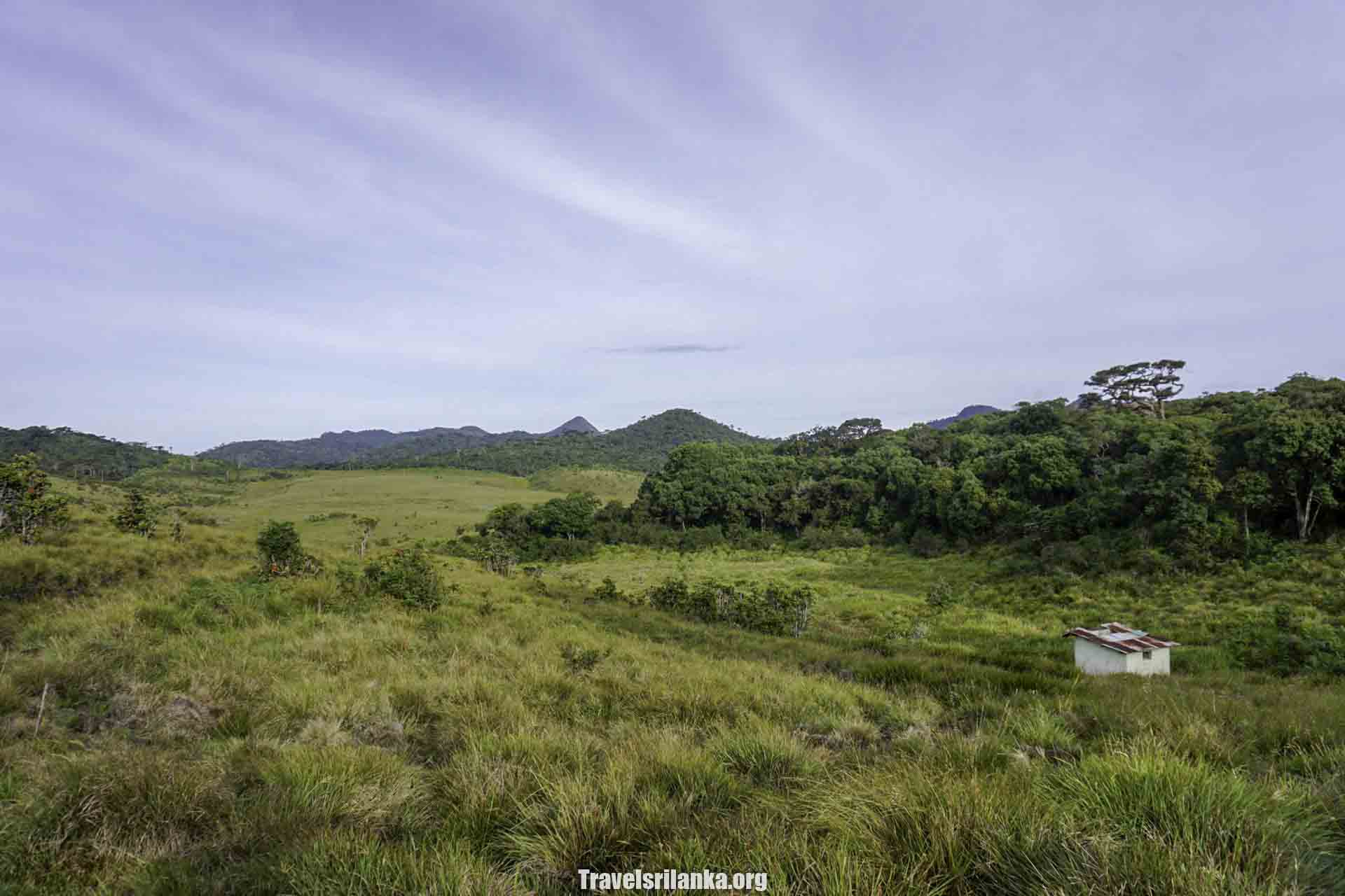 Horton plains