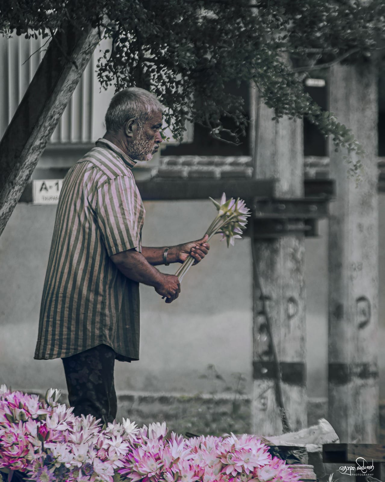 1. "Life style"2. Anuradhapura 3. Bhanuka Dilshan