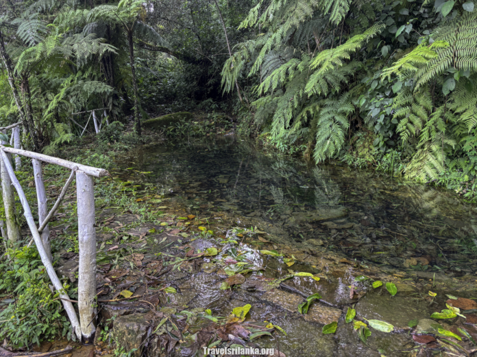 James Taylors well