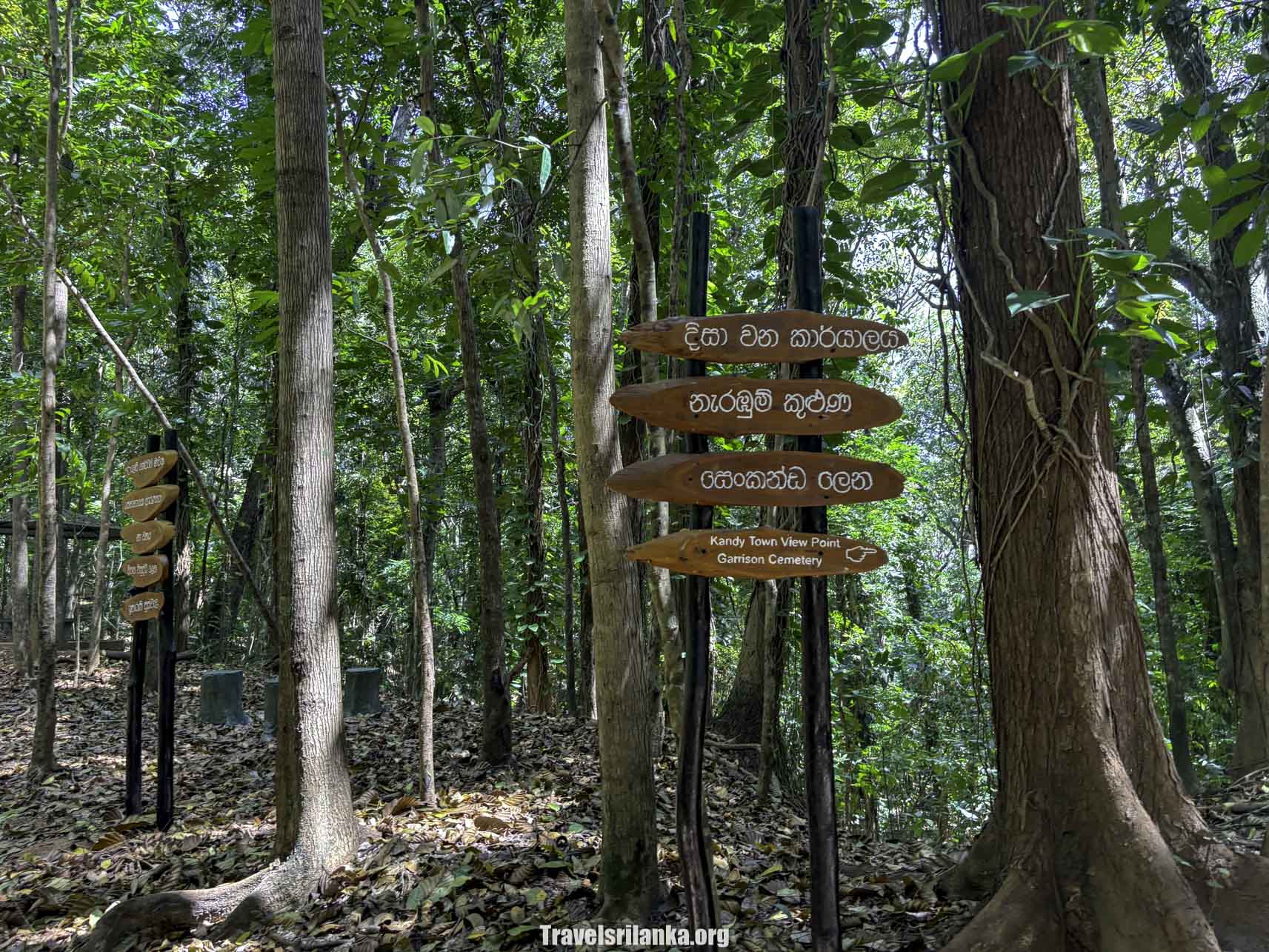 Udawatta Kale - Travel Sri Lanka