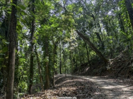 Udawatta Kale - Travel Sri Lanka