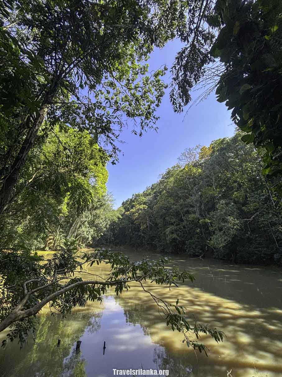 Udawatta Kale - Travel Sri Lanka